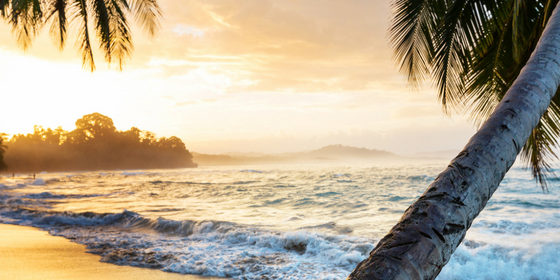 5 Key Ingredients for Planning the Perfect Company Retreat Plan a Company Retreat in Costa Rica