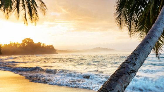 5 Key Ingredients for Planning the Perfect Company Retreat Plan a Company Retreat in Costa Rica