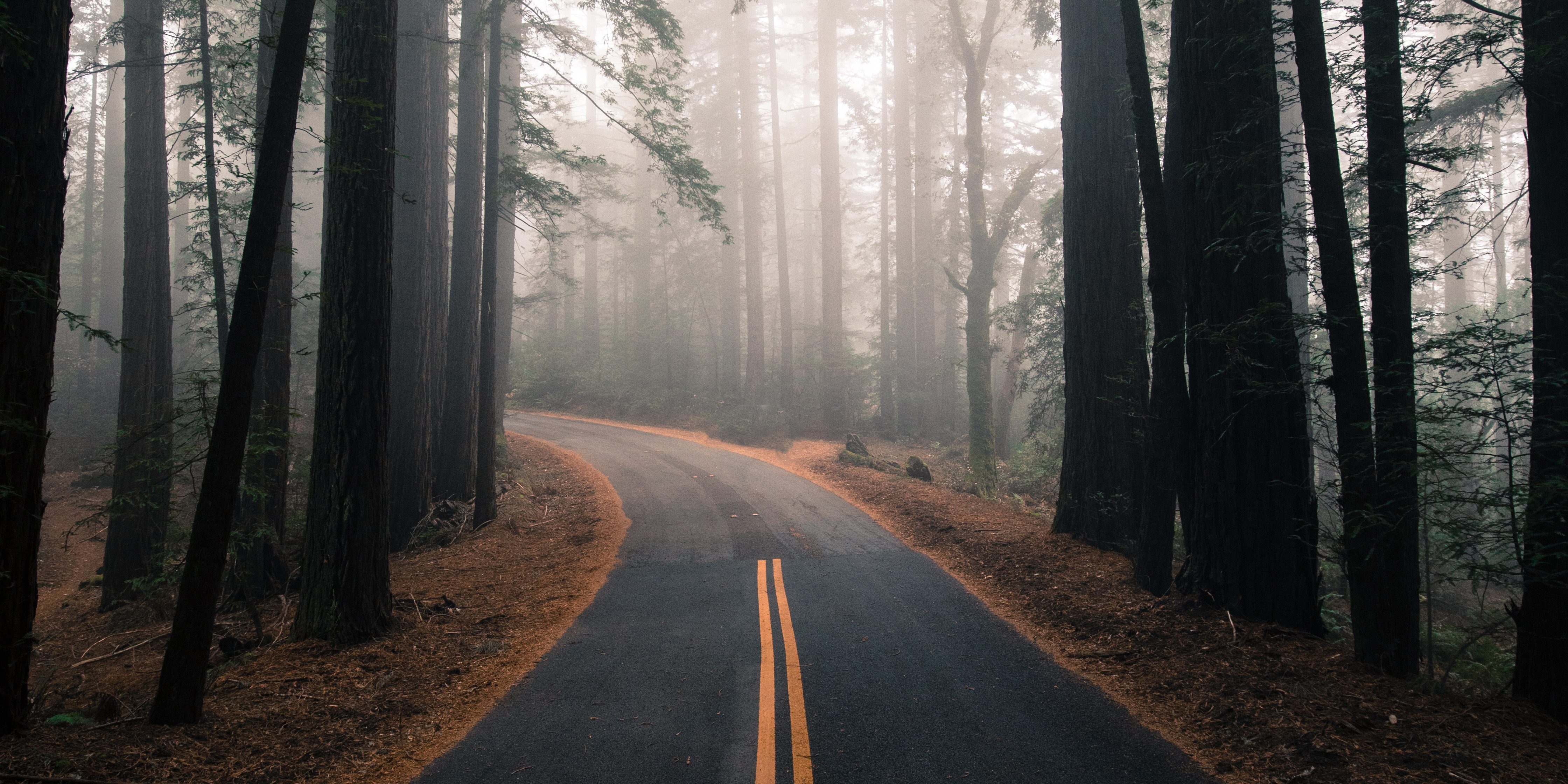 matthew-ronder-seid-W54l5dnEH5I-unsplash