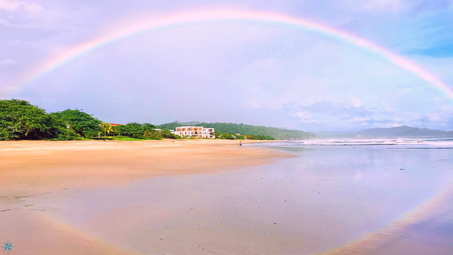 12 Aug 2020 – Blog