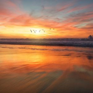 frank-mckenna-4V8JxijgZ_c-unsplash frank-mckenna-4V8JxijgZ_c-unsplash