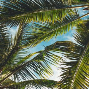 peter-fogden-toB7tKXne7U-unsplash peter-fogden-toB7tKXne7U-unsplash