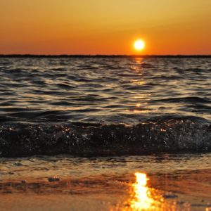 rachel-cook-mOcdke2ZQoE-unsplash rachel-cook-mOcdke2ZQoE-unsplash