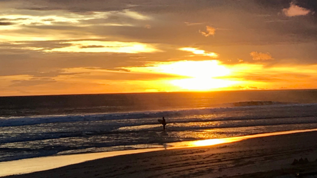 Oct 14 Blog for website