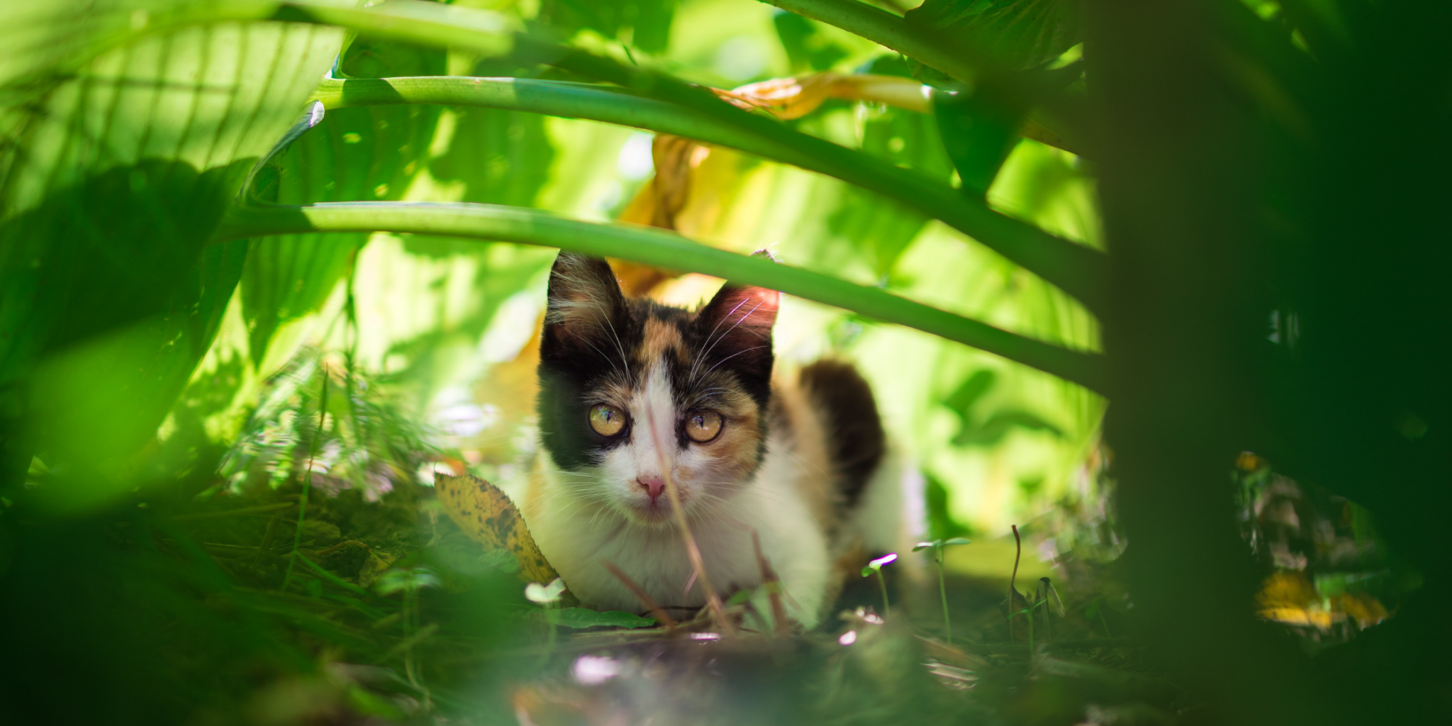 Oct 21 Blog for website