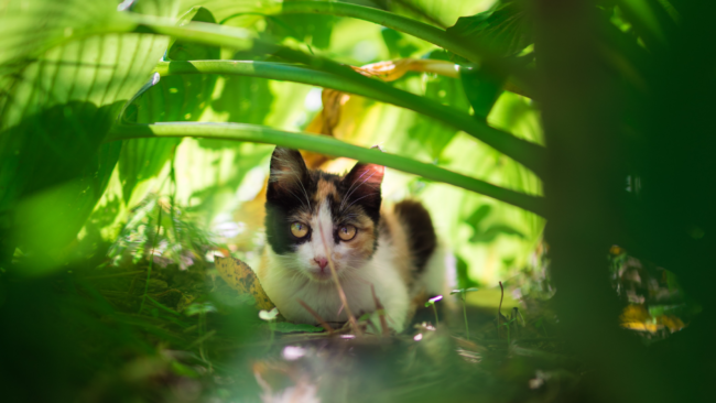 Oct 21 Blog for website