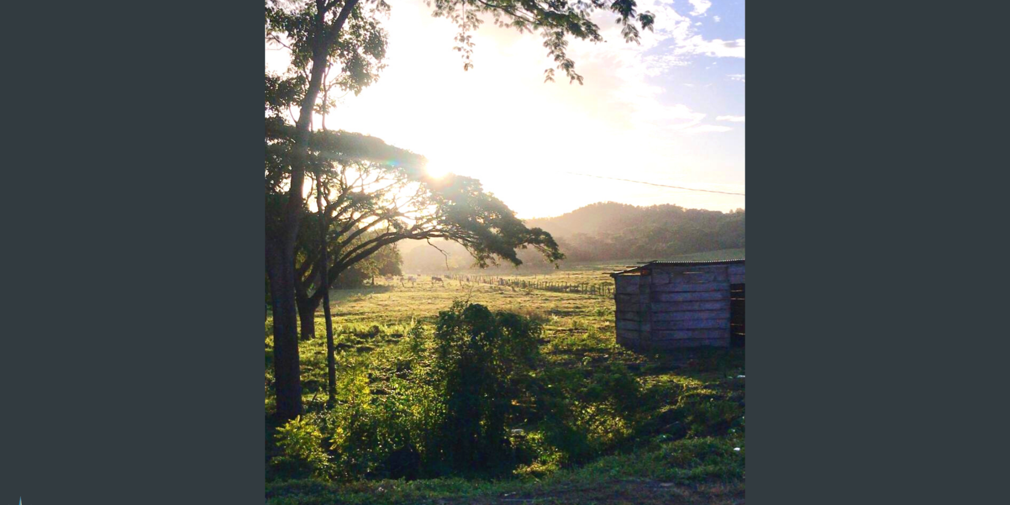 Dec 9 Blog for website