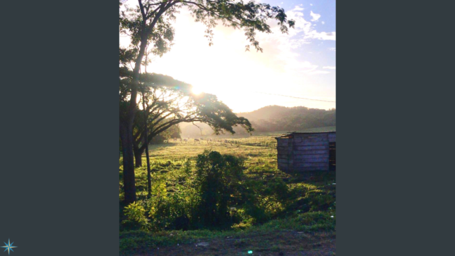 Dec 9 Blog for website