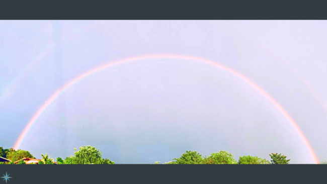 Jan 13 Blog for website