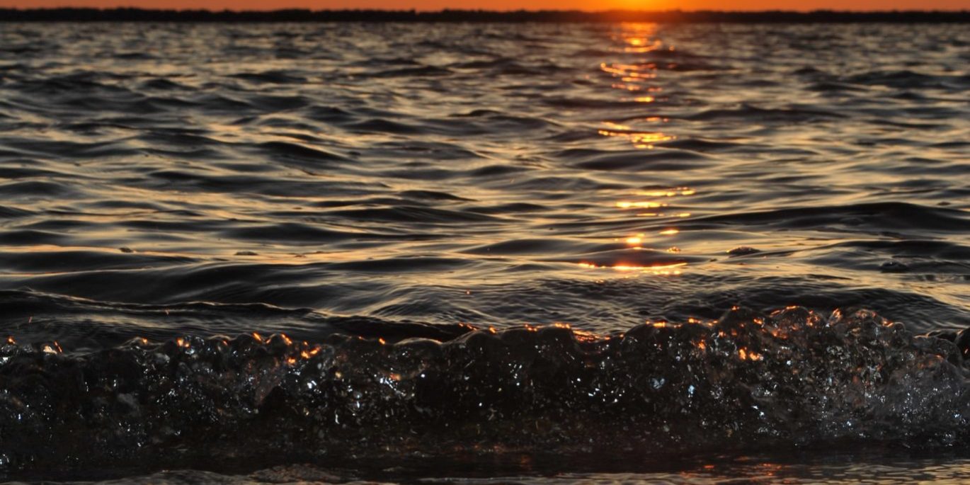 rachel-cook-mOcdke2ZQoE-unsplash