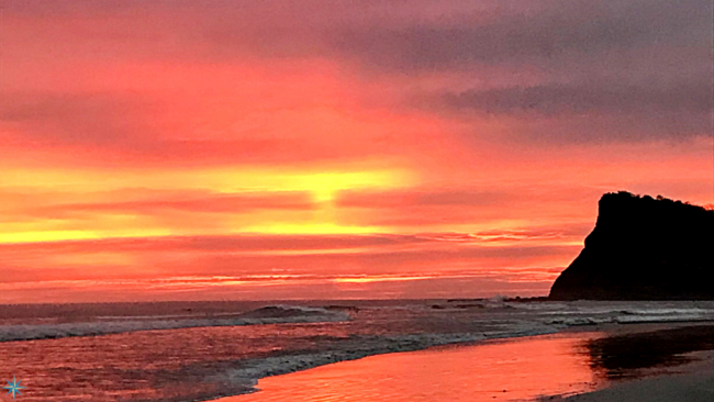 April 14 Blog for website (1)