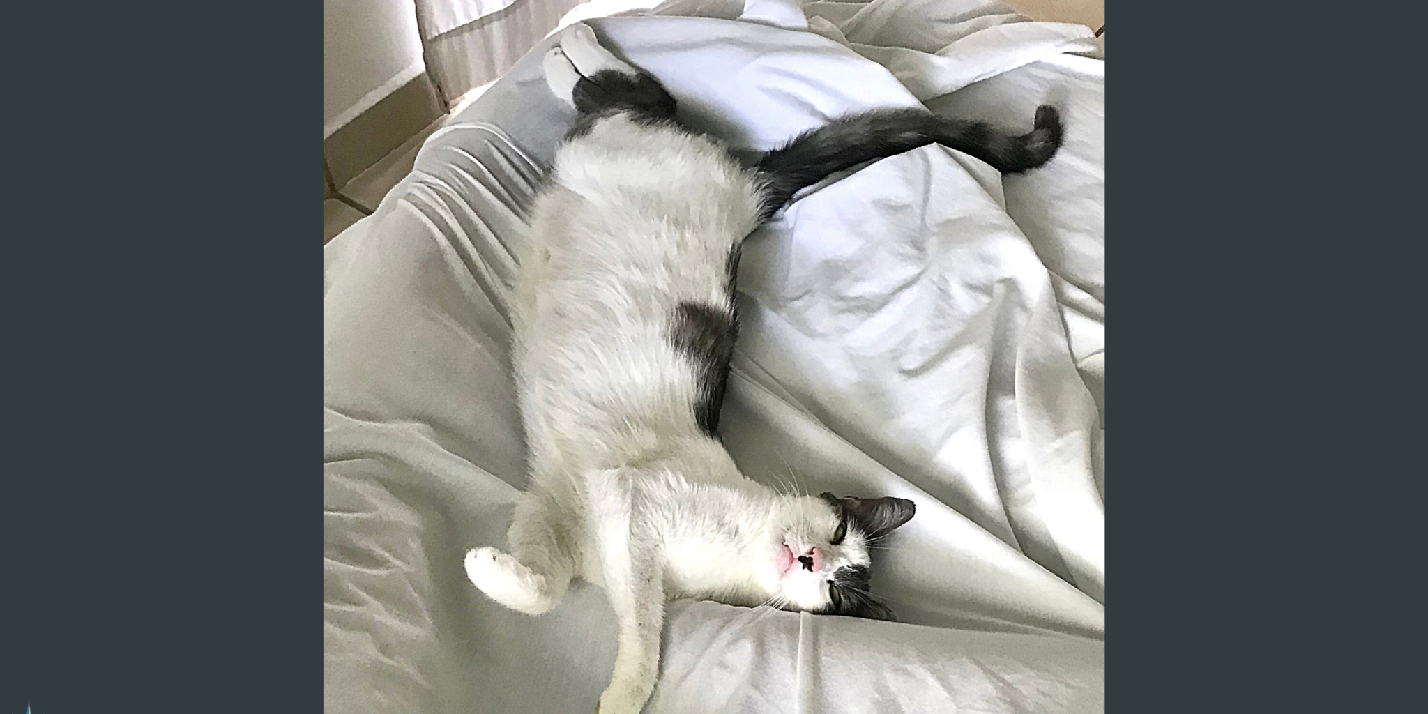 June 1 Blog for website