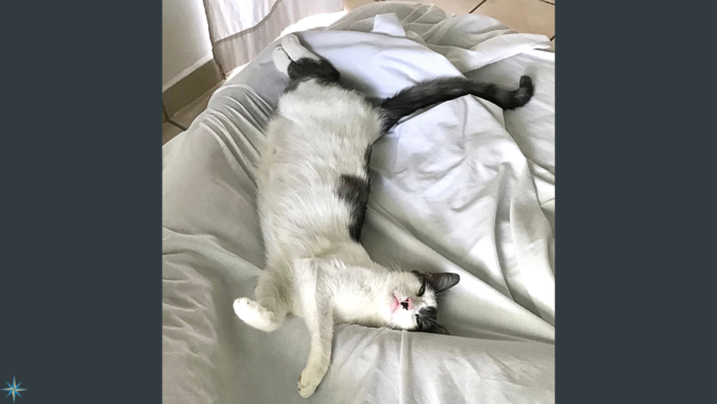 June 1 Blog for website