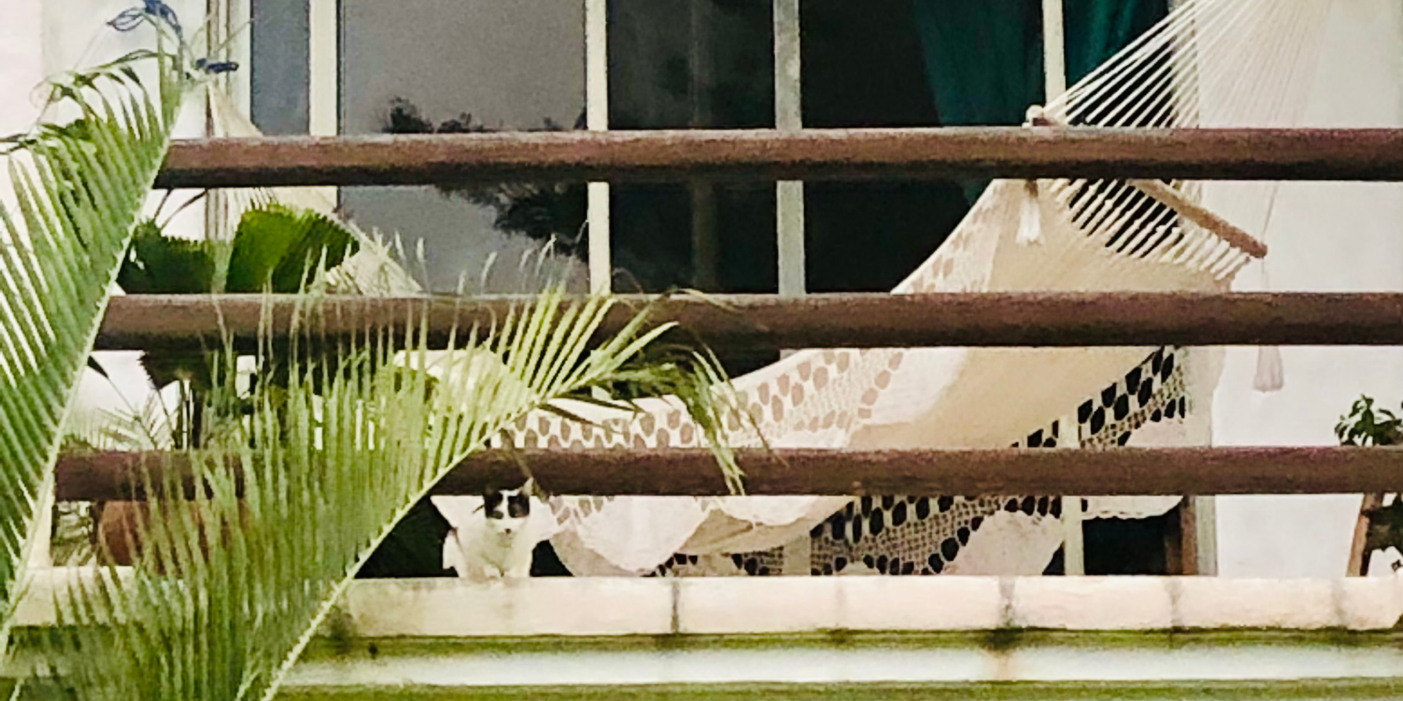 Nov 17 Blog for website – NEW