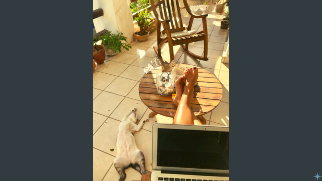 _Jan 19 2022 Blog for website – FINAL