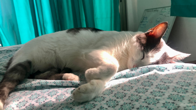 MAy 6 2022 Blog for website – FINAL