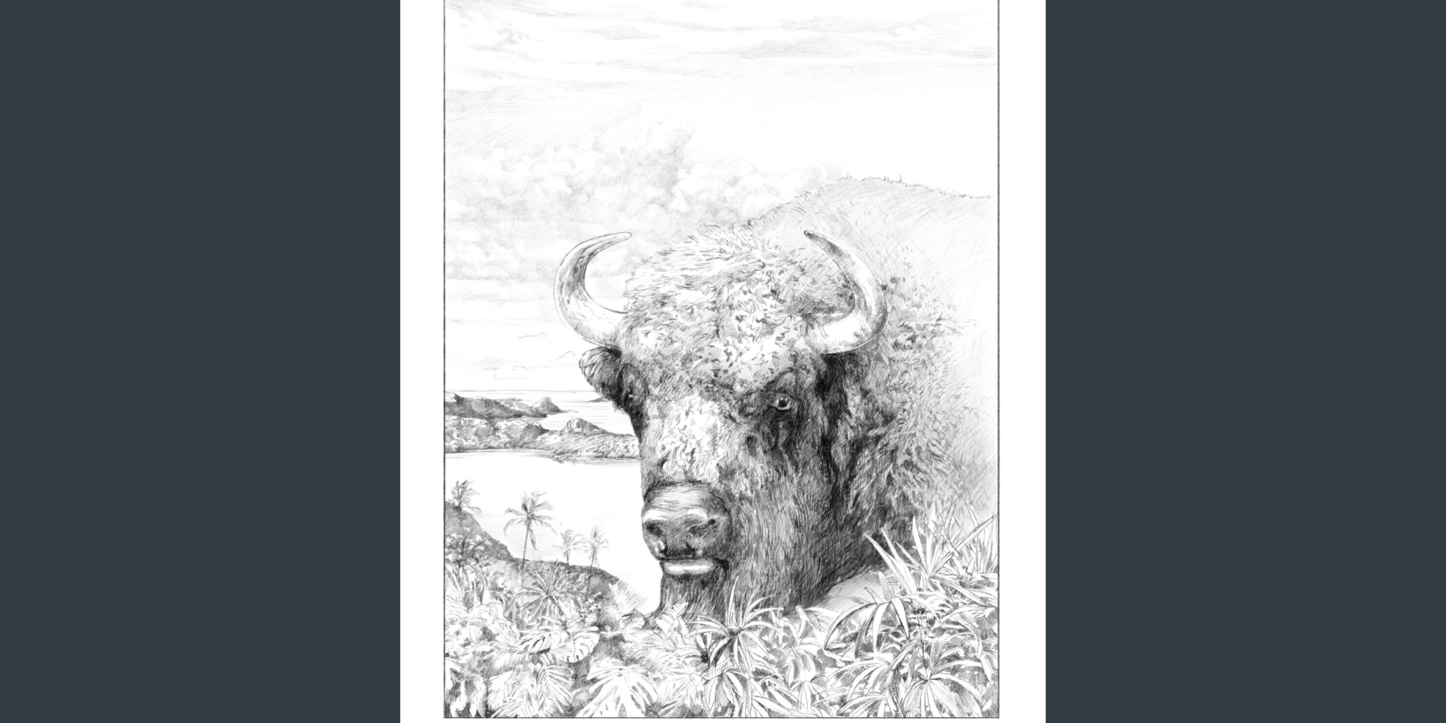 May 17 2022 Blog for website – Pre-sale 2