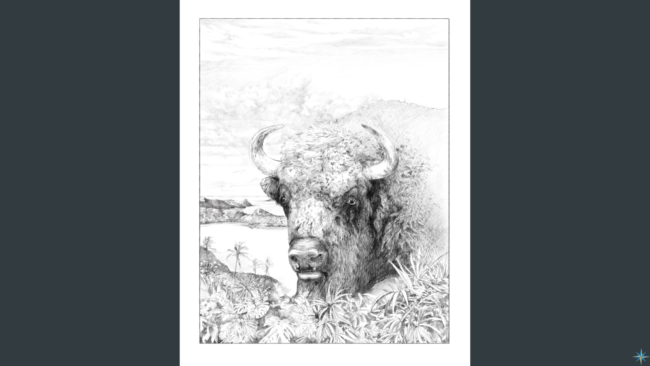 May 17 2022 Blog for website – Pre-sale 2