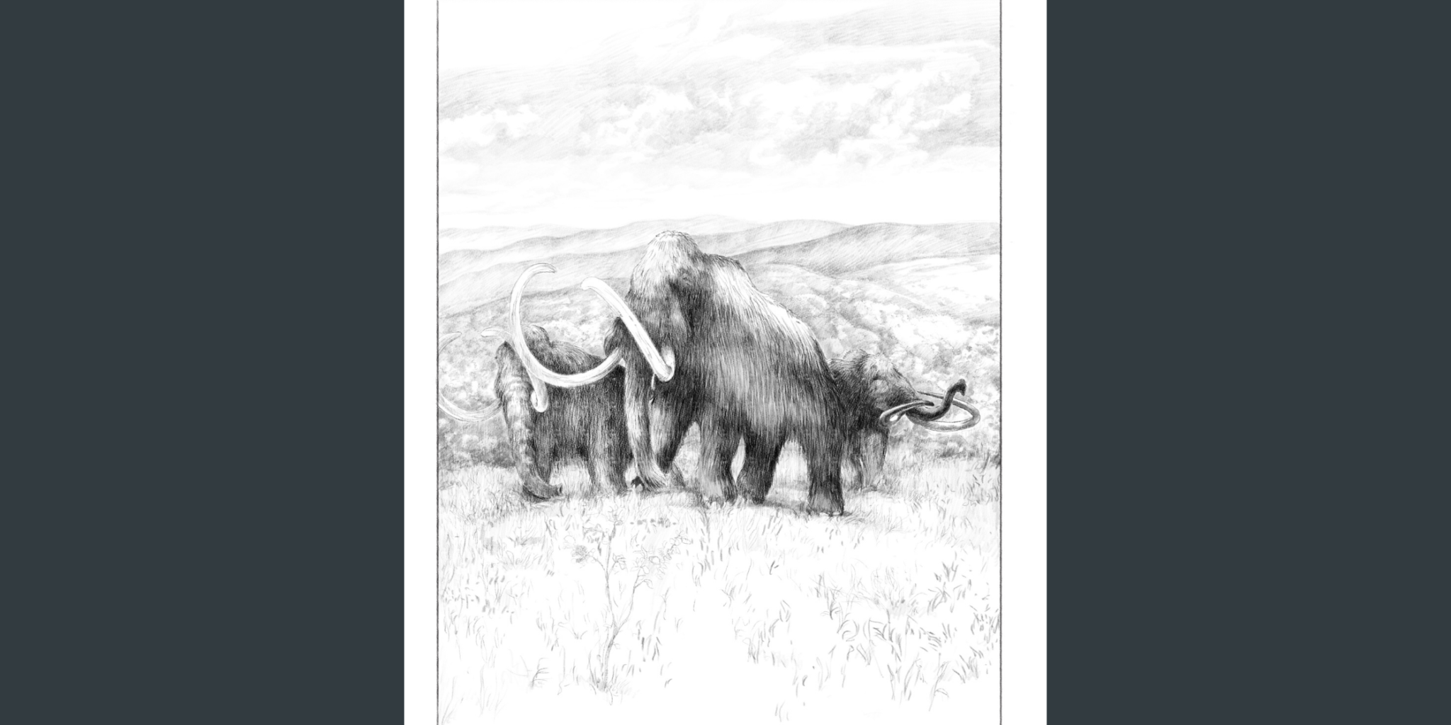 May 18 2022 Blog for website – Pre-sale 3