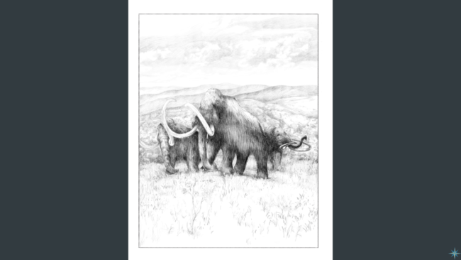 May 18 2022 Blog for website – Pre-sale 3