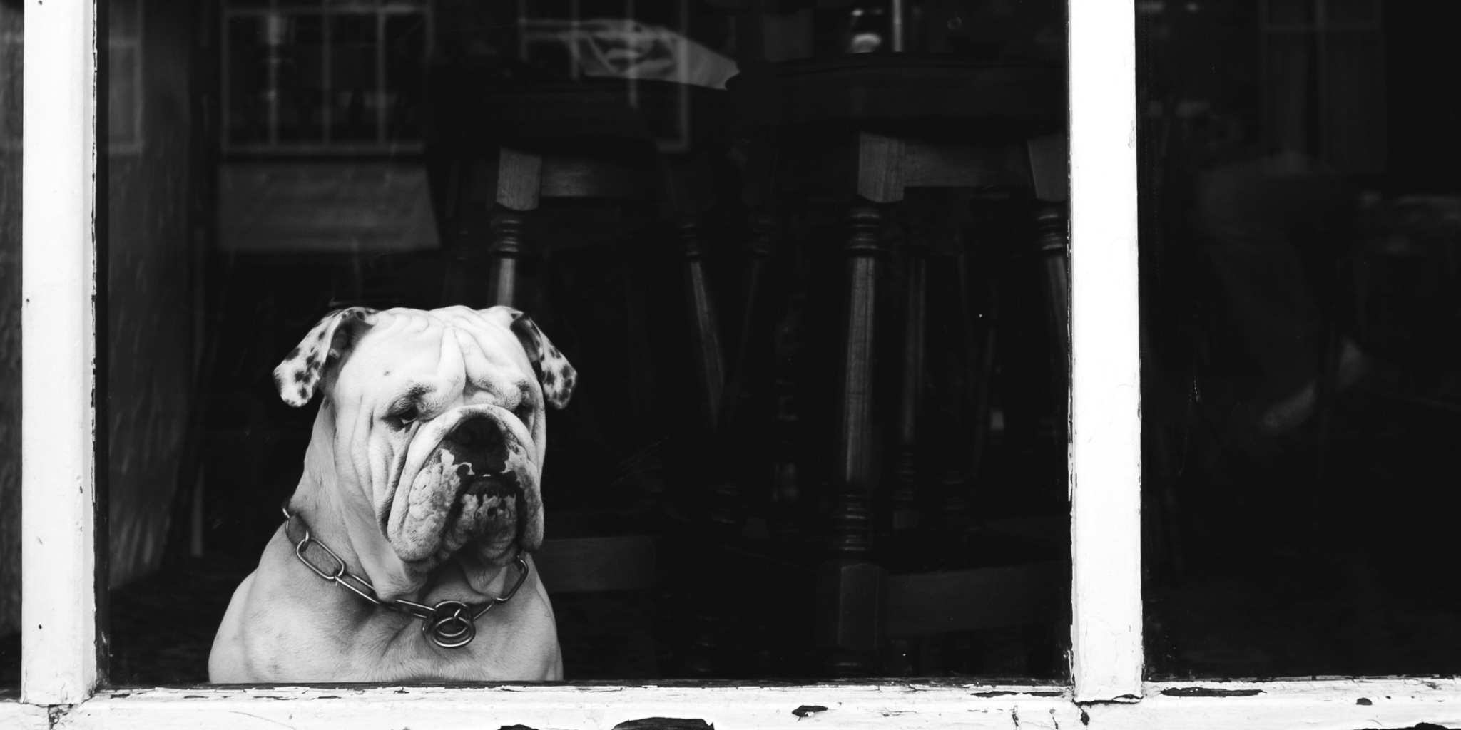 July 15 2022 Blog for website – FINAL