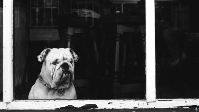 July 15 2022 Blog for website – FINAL