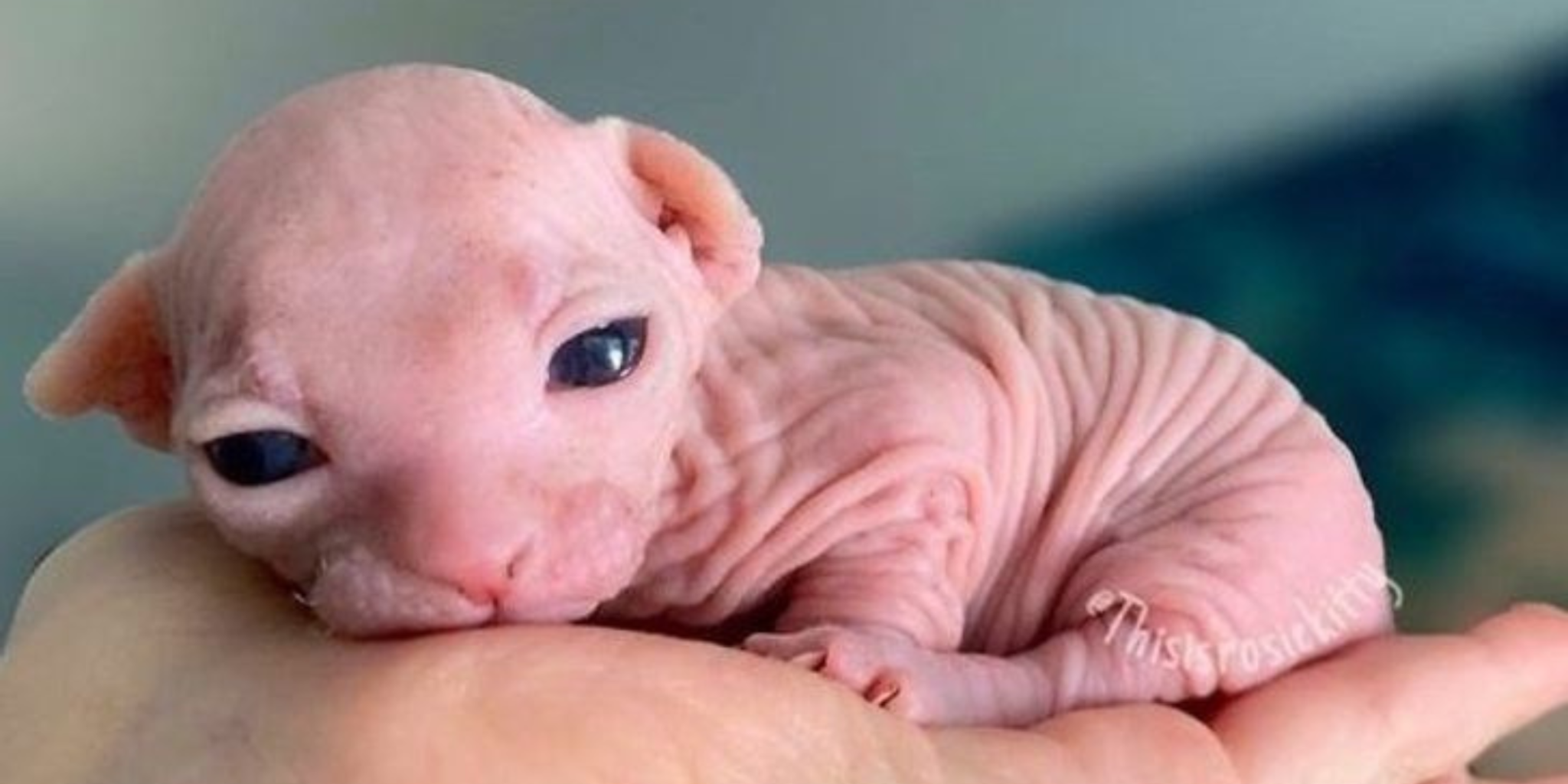 July 22 2022 Blog for website – FINAL