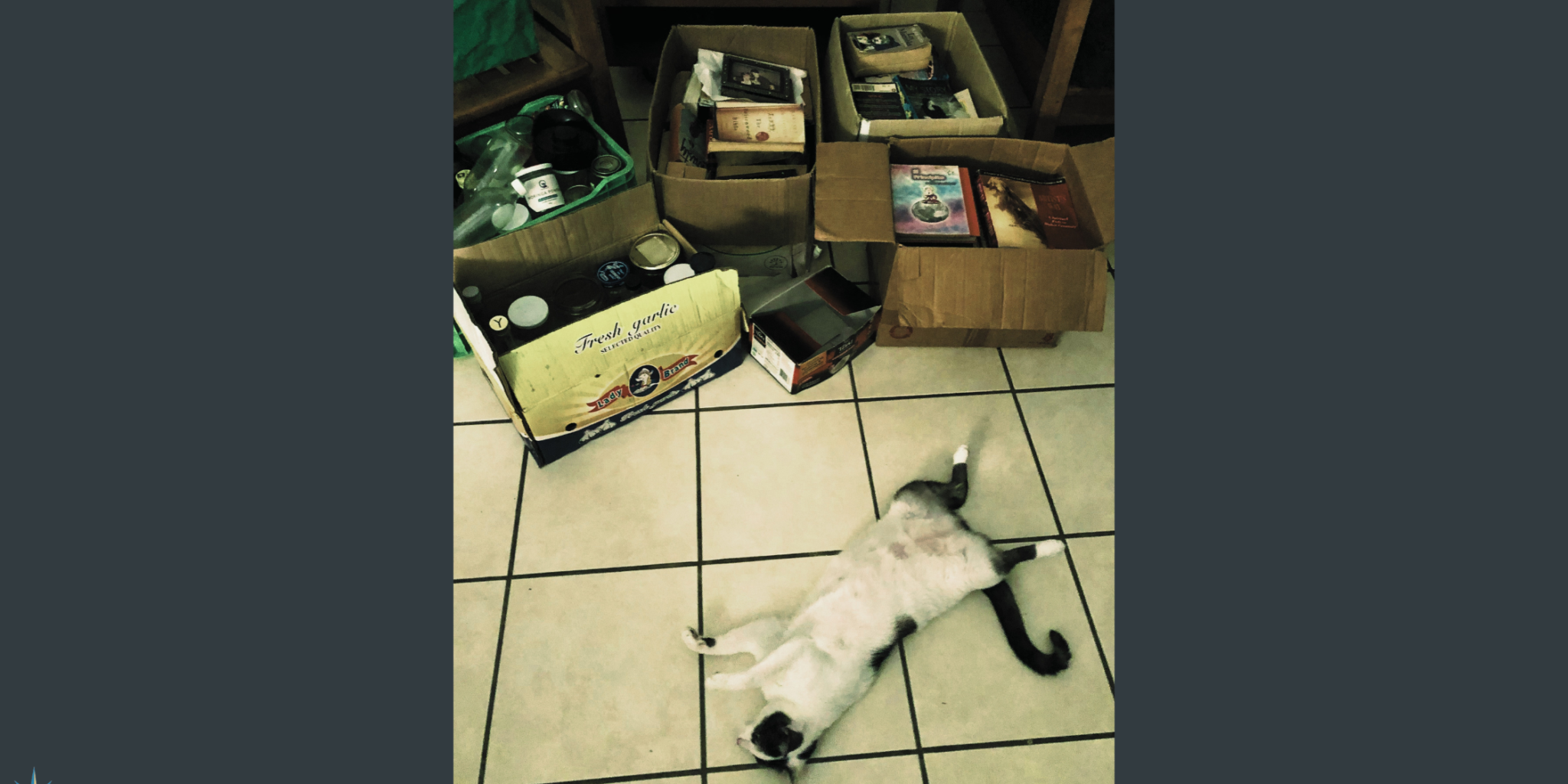 September 23 2022 Blog for website – FINAL