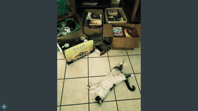 September 23 2022 Blog for website – FINAL