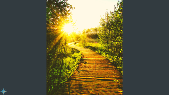 4 November 2022 Blog for website – FINAL