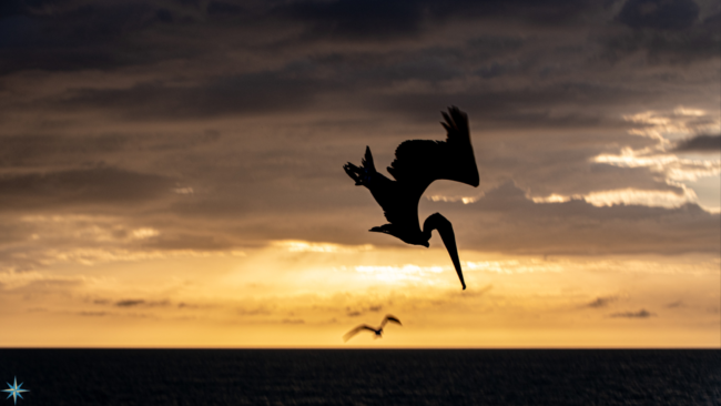 10 February 2023 Blog for website