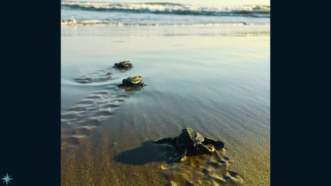 3 February 2023 Blog for website – FINAL