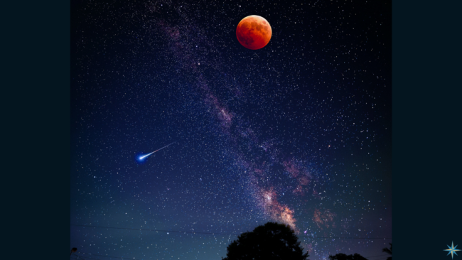 24 March 2023 Blog for website