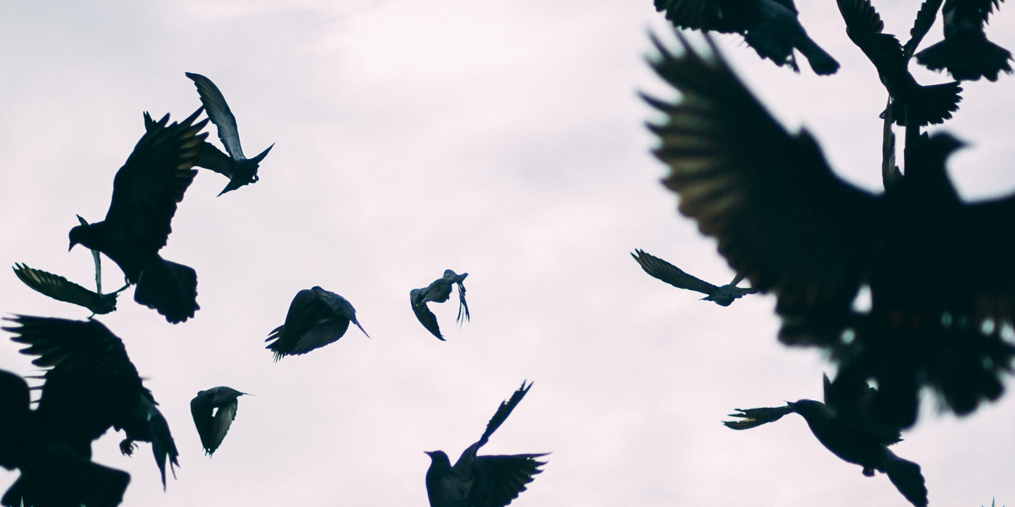 3 March 2023 Blog for website