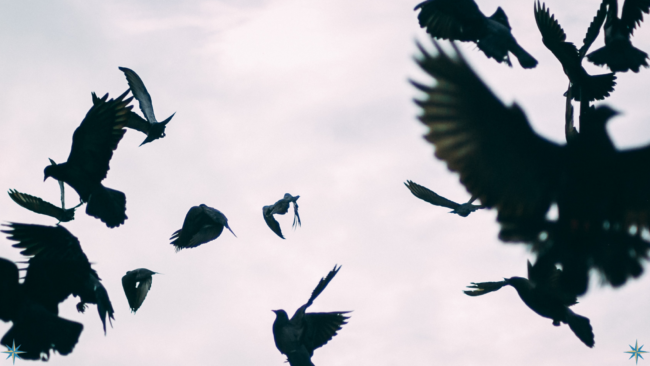 3 March 2023 Blog for website