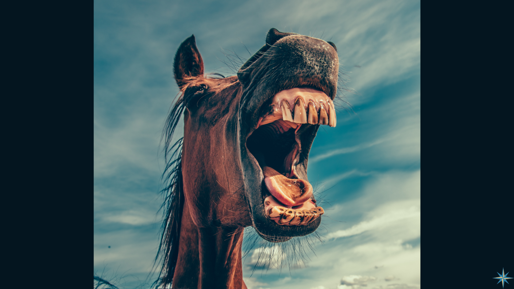 7 April 23 Blog for website