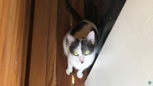 12 May 23 Blog for website