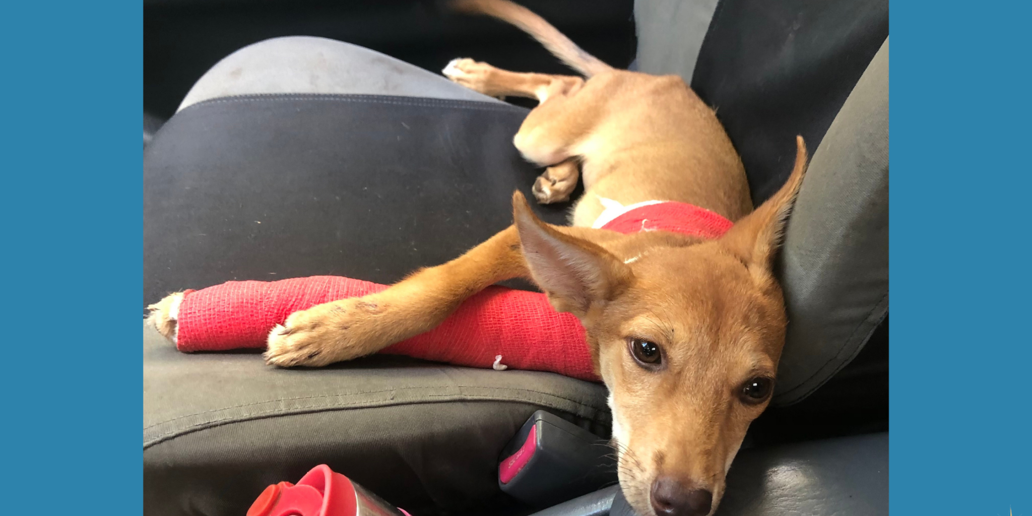 4 August 23 Blog for website