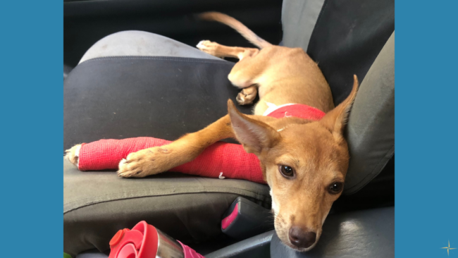 4 August 23 Blog for website