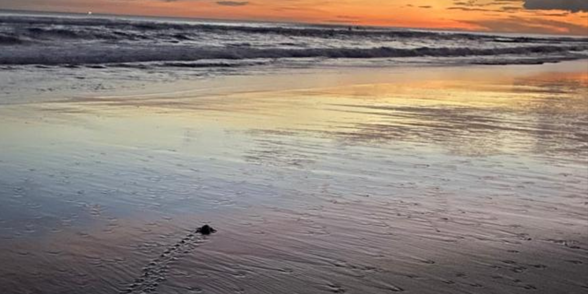 27 October 2023 Blog for website