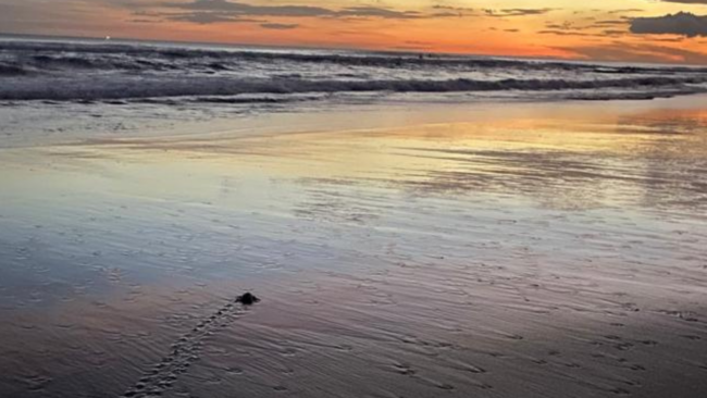 27 October 2023 Blog for website