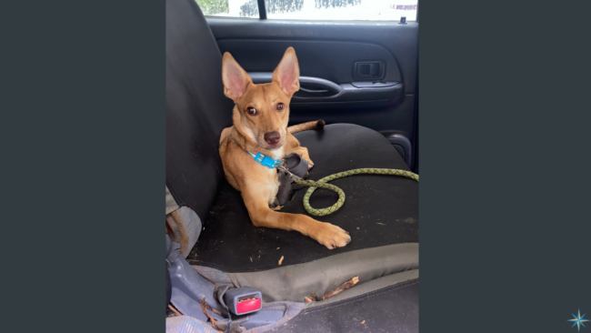 23 November 2023 Blog for website