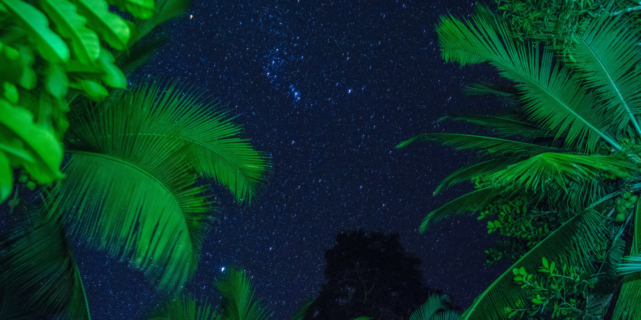 1 December 2023 Blog for website