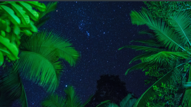 1 December 2023 Blog for website