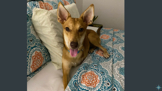 1 March 2024 Blog for website