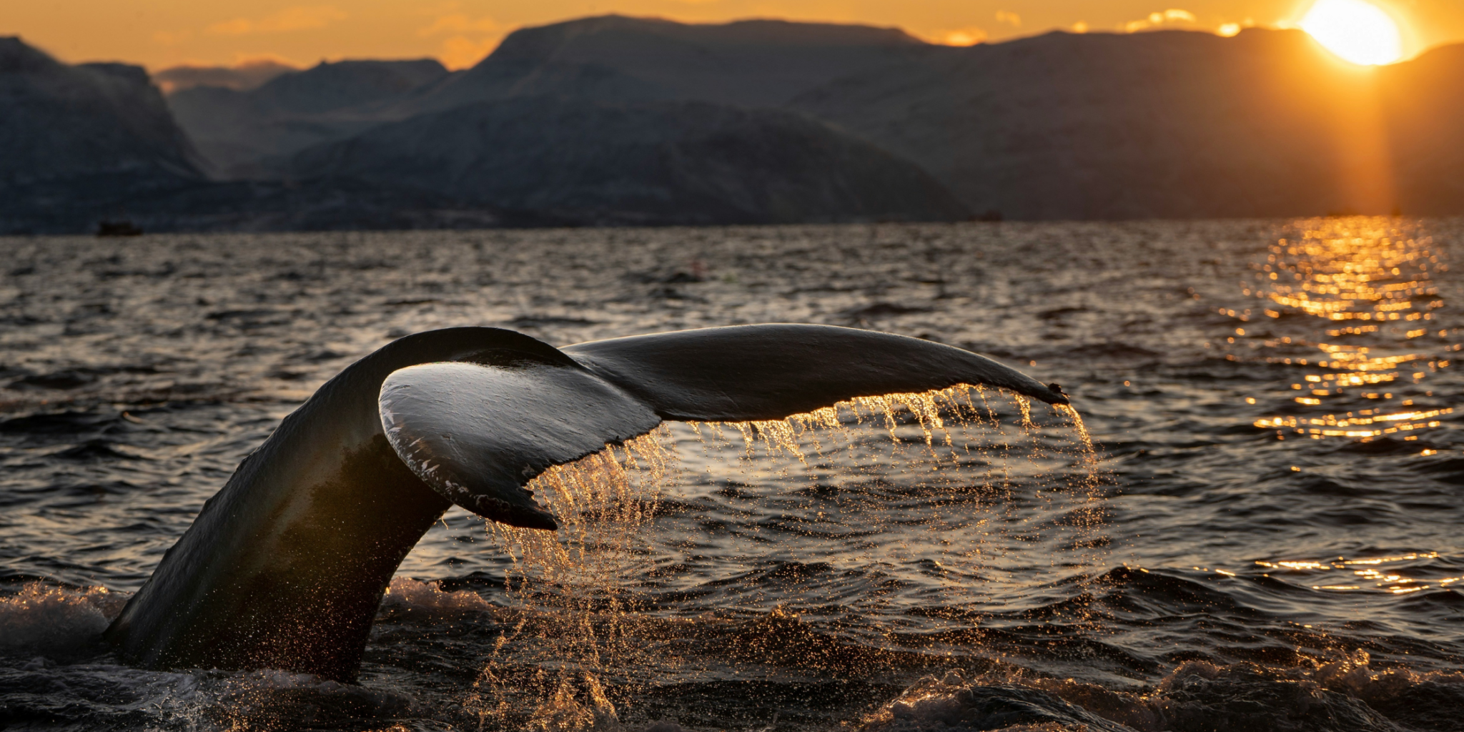 12 July 24 Blog for website