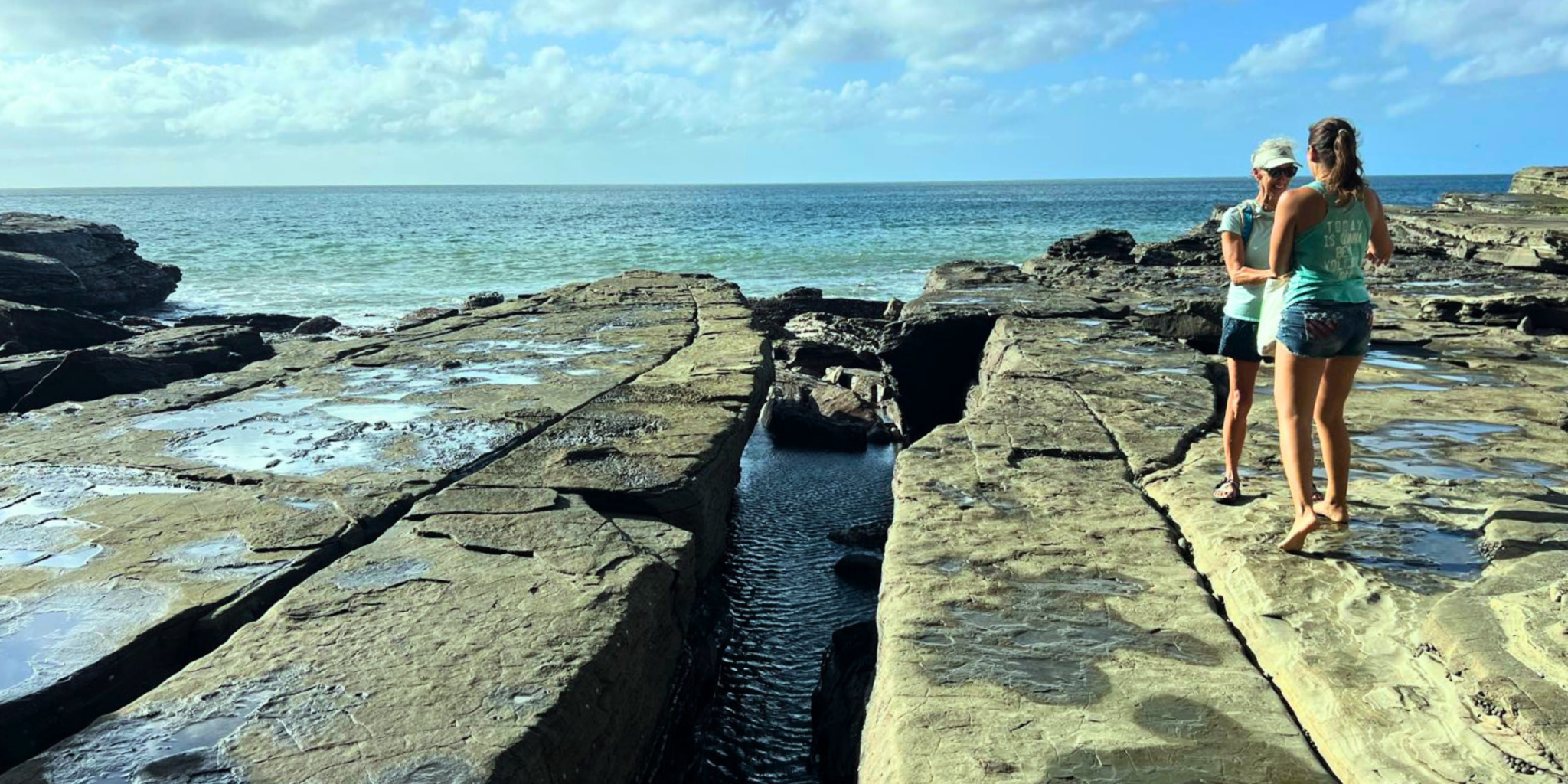 14 Feb 2025 Blog for website