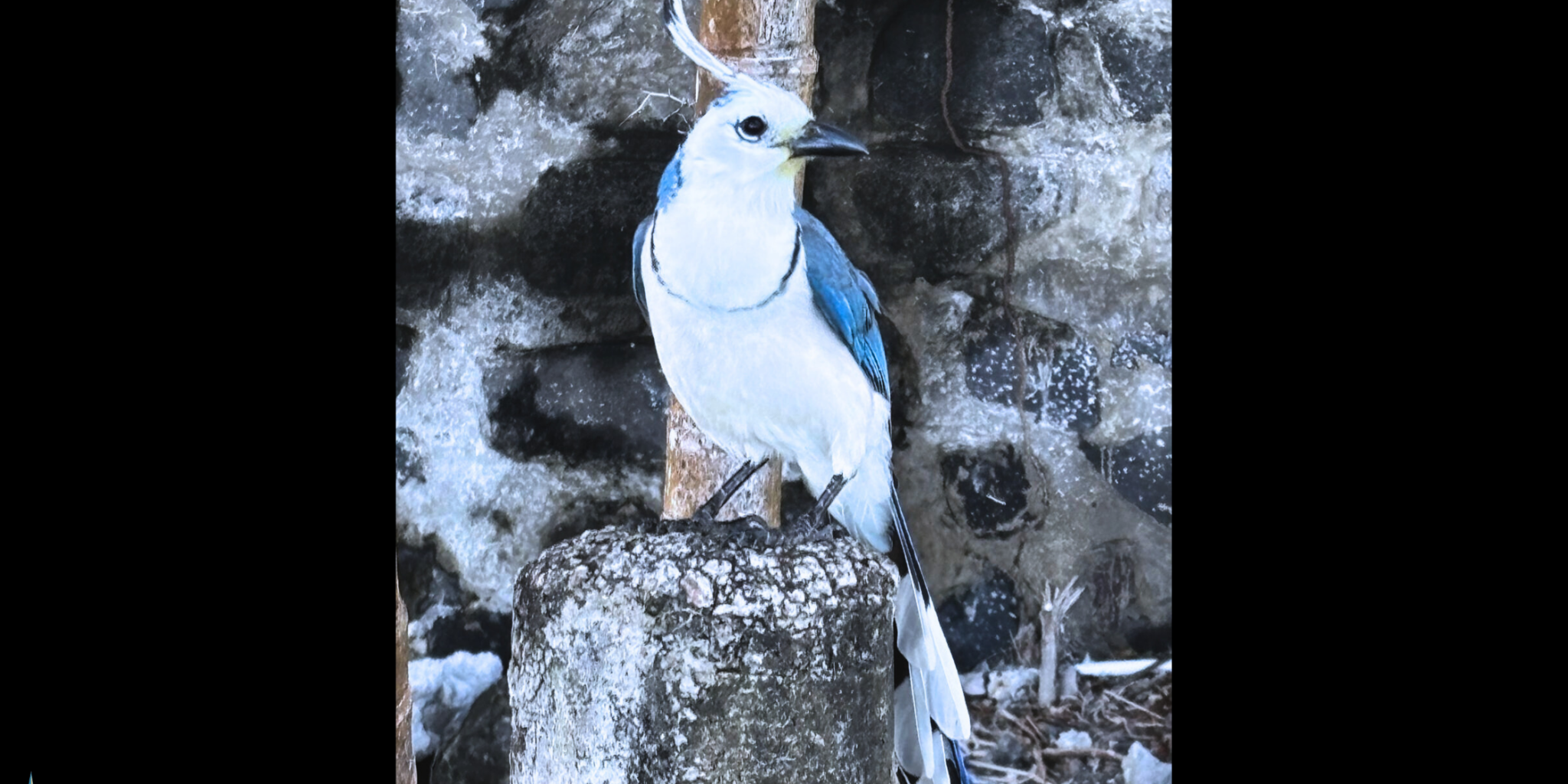 21 Feb 2025 Blog for website