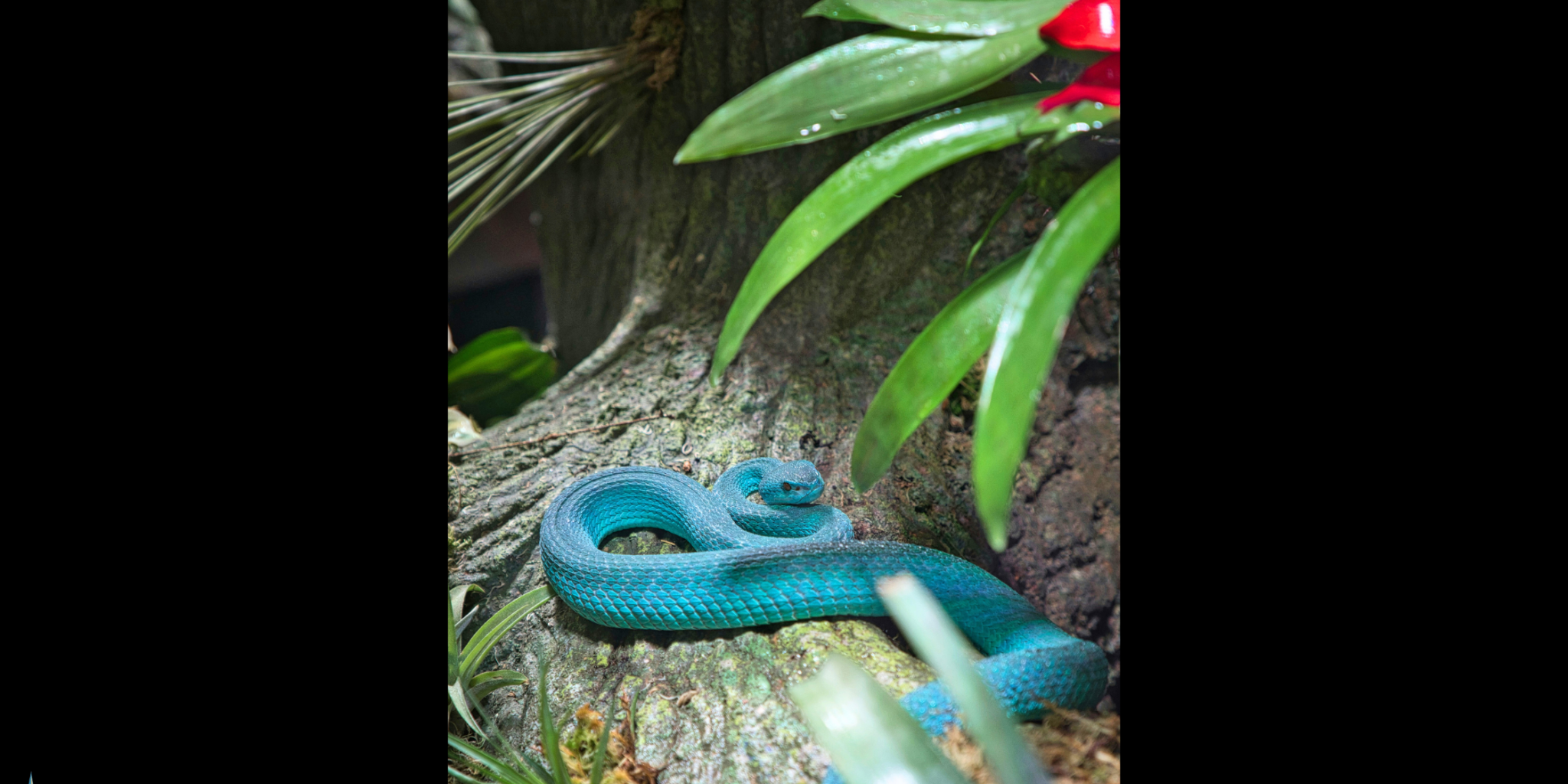 28 Feb 2025 Blog for website