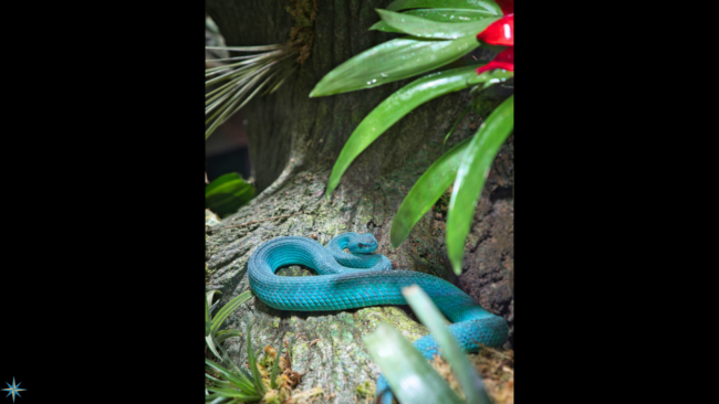 28 Feb 2025 Blog for website